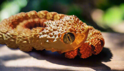 A coiled golden and orange snake figure with a realistic amber eye and highly detailed textured scales.
